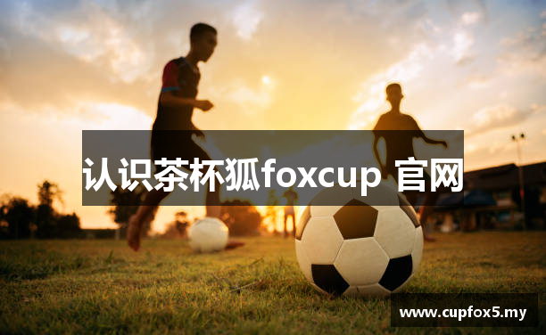 认识茶杯狐foxcup 官网