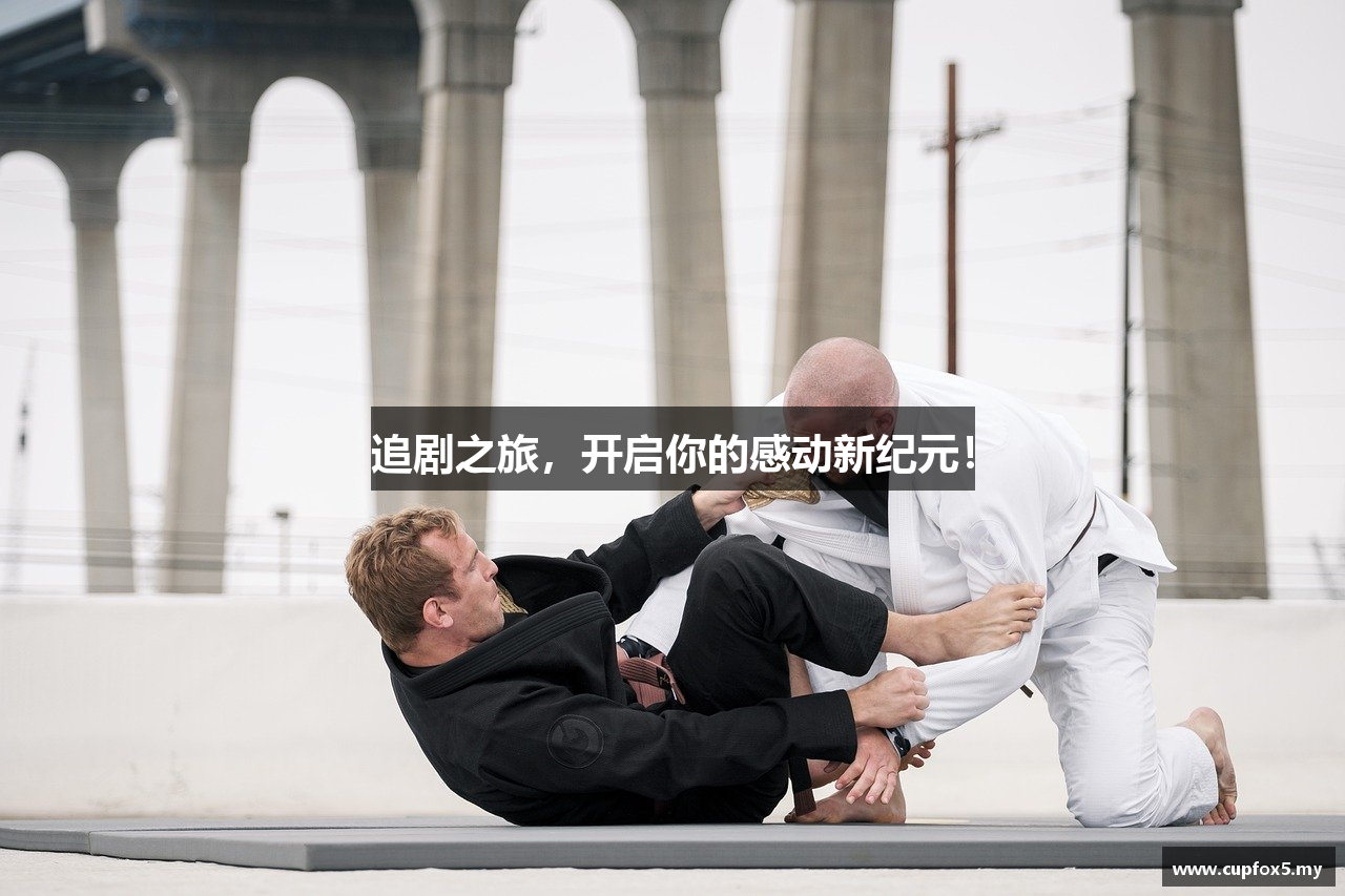 追剧之旅，开启你的感动新纪元！